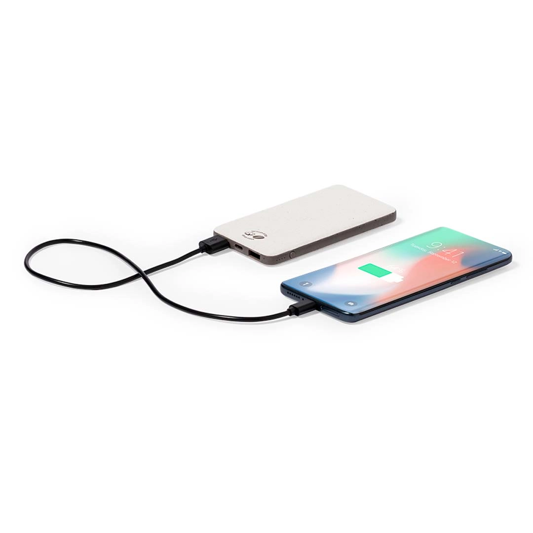 Immagine Power Bank Mayer