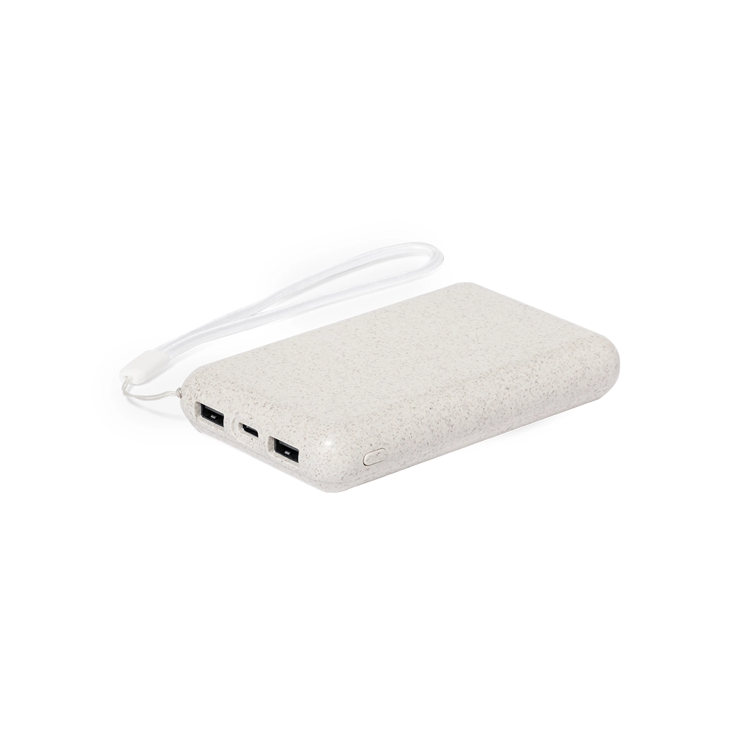 Immagine Power Bank Dawson