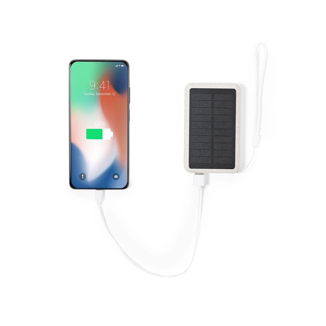 Immagine Power Bank Dawson