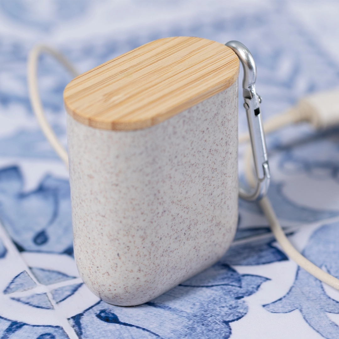 Immagine Cavo Caricatore Brayce