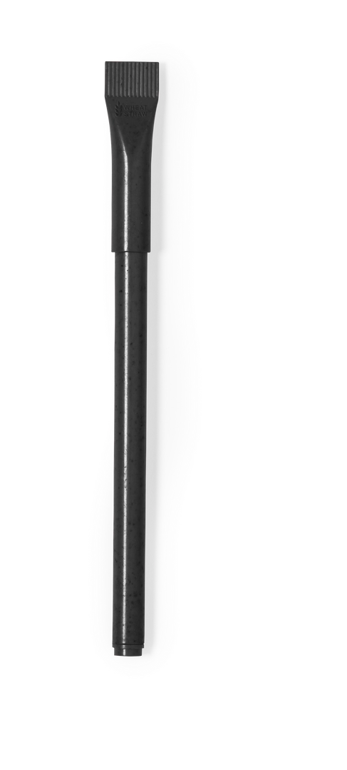 Immagine Penna a Sfera Lileo