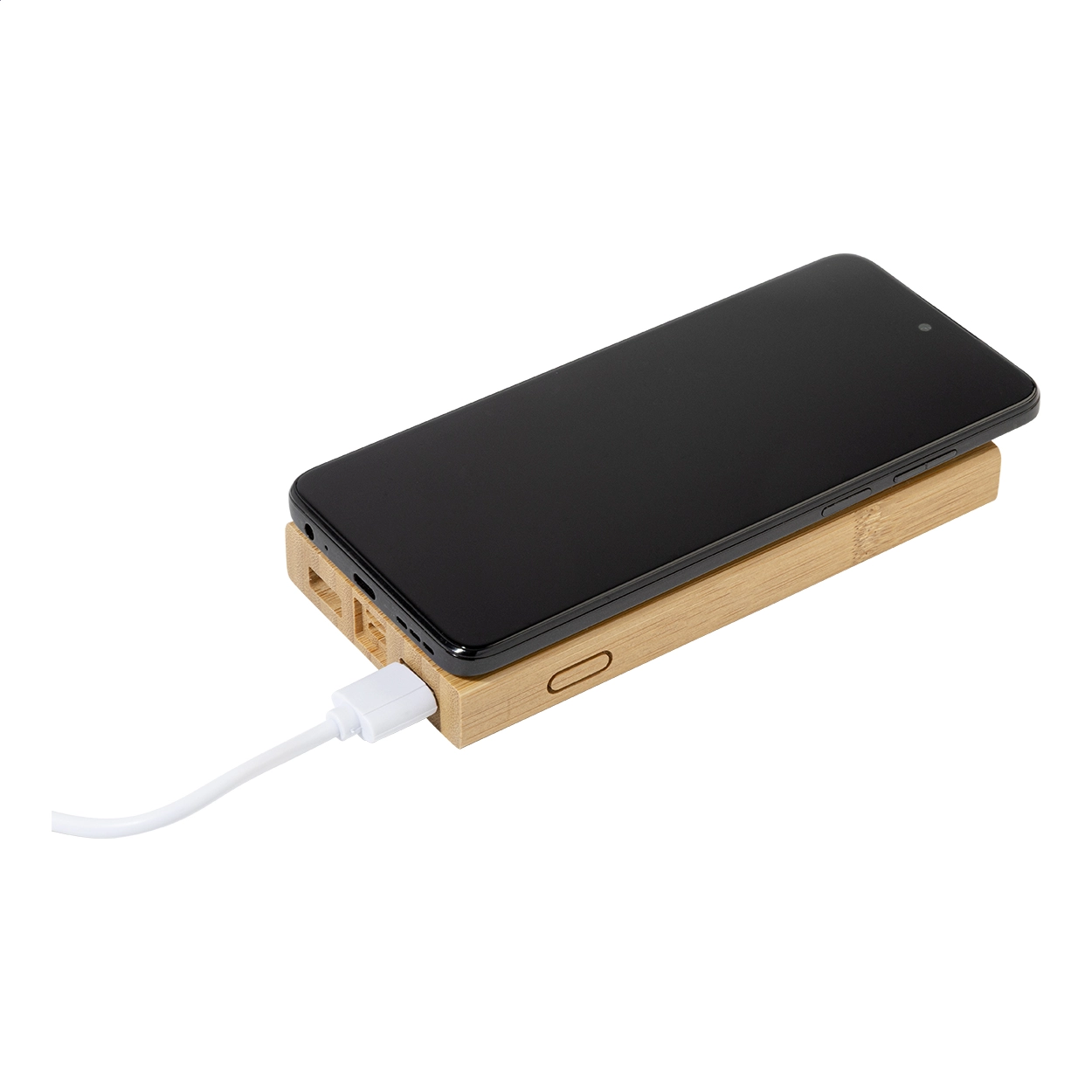 Immagine Wooster power bank