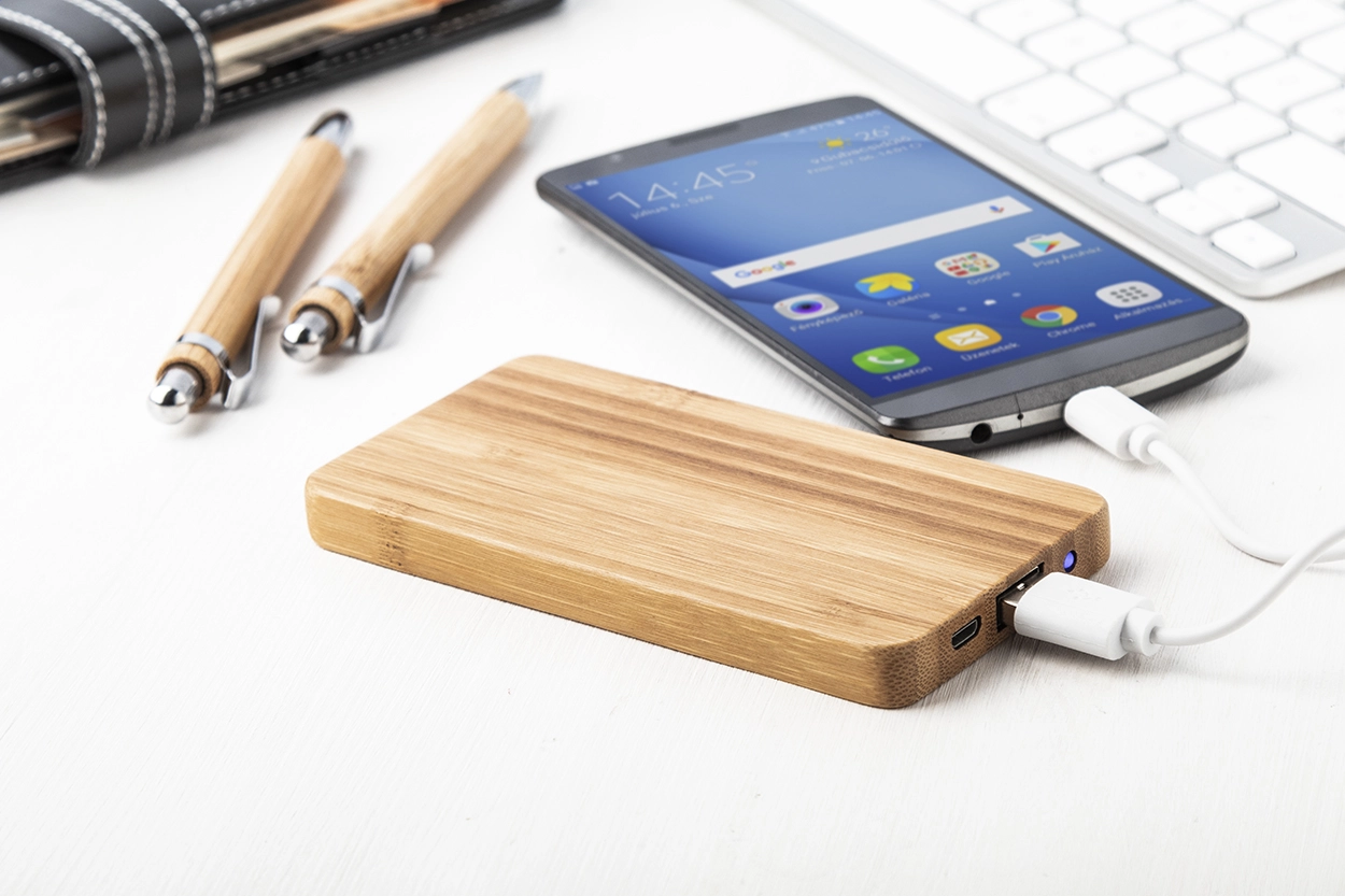 Immagine Bamboost power bank