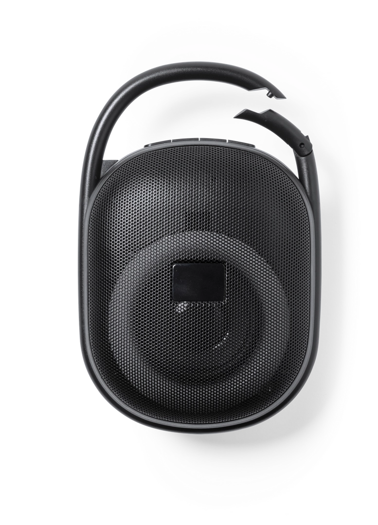 Immagine Cassa Walen