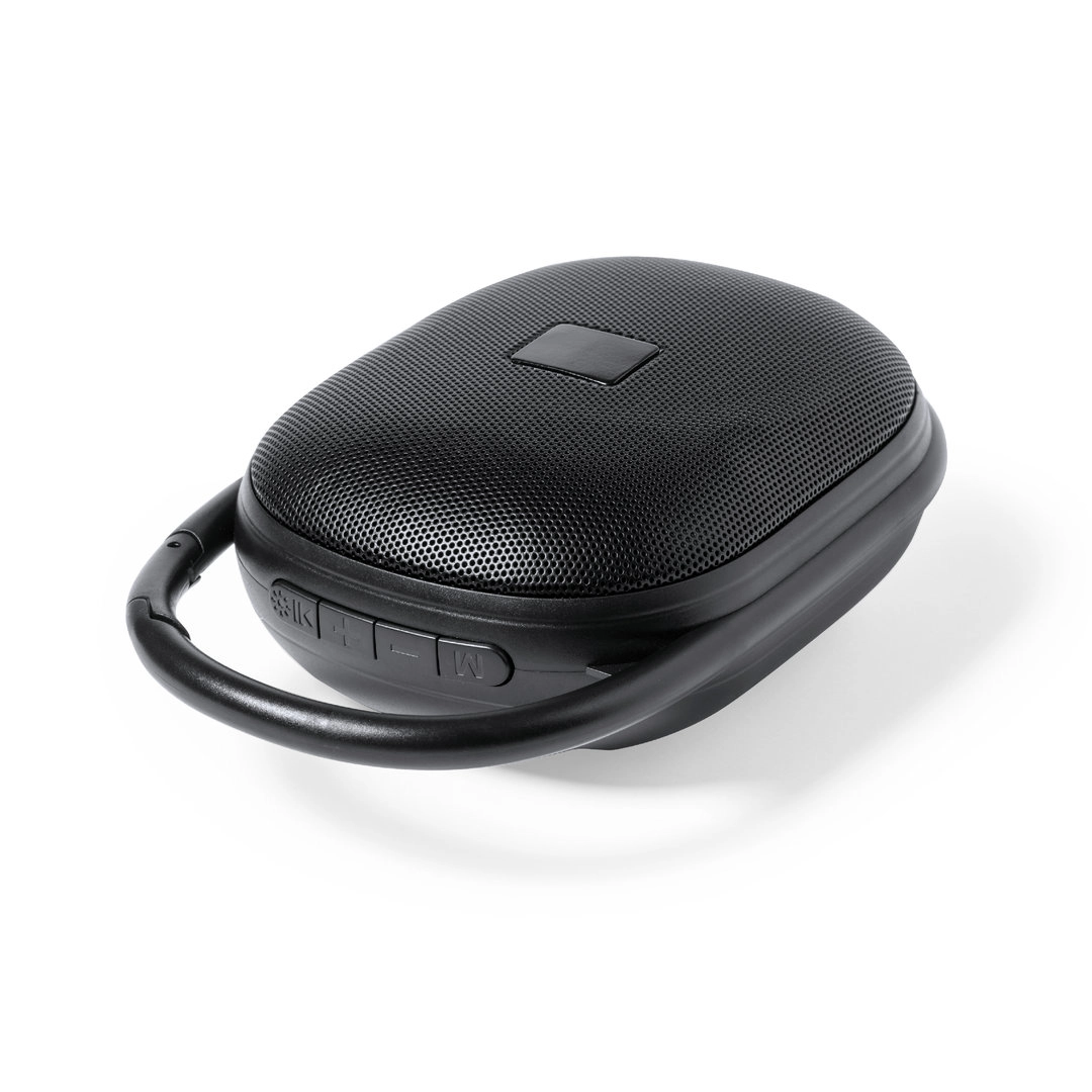 Immagine Cassa Walen