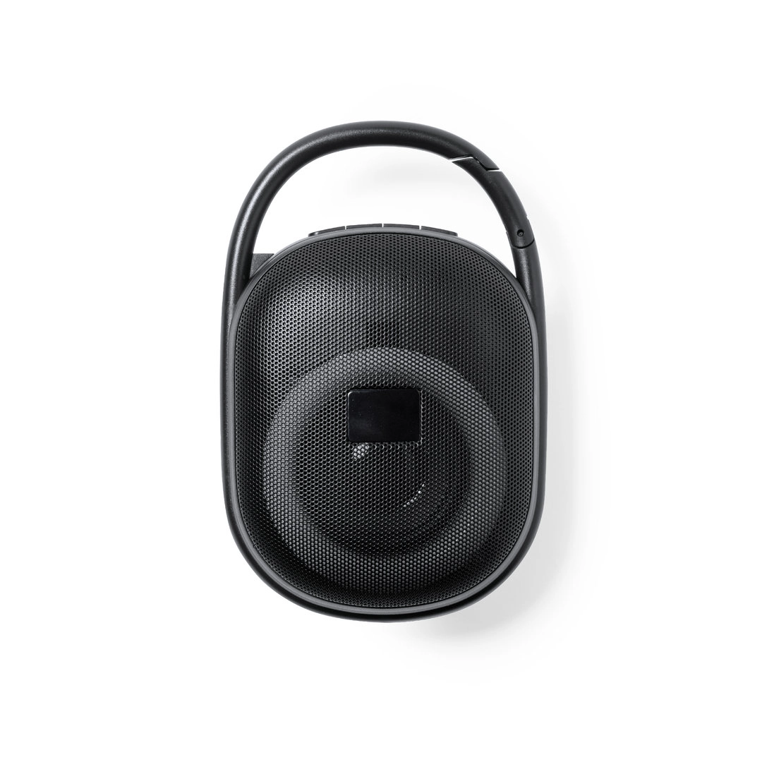 Immagine Cassa Walen