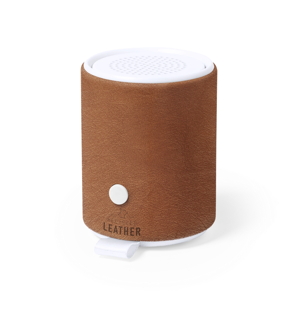 Immagine Cassa Sotep RCS