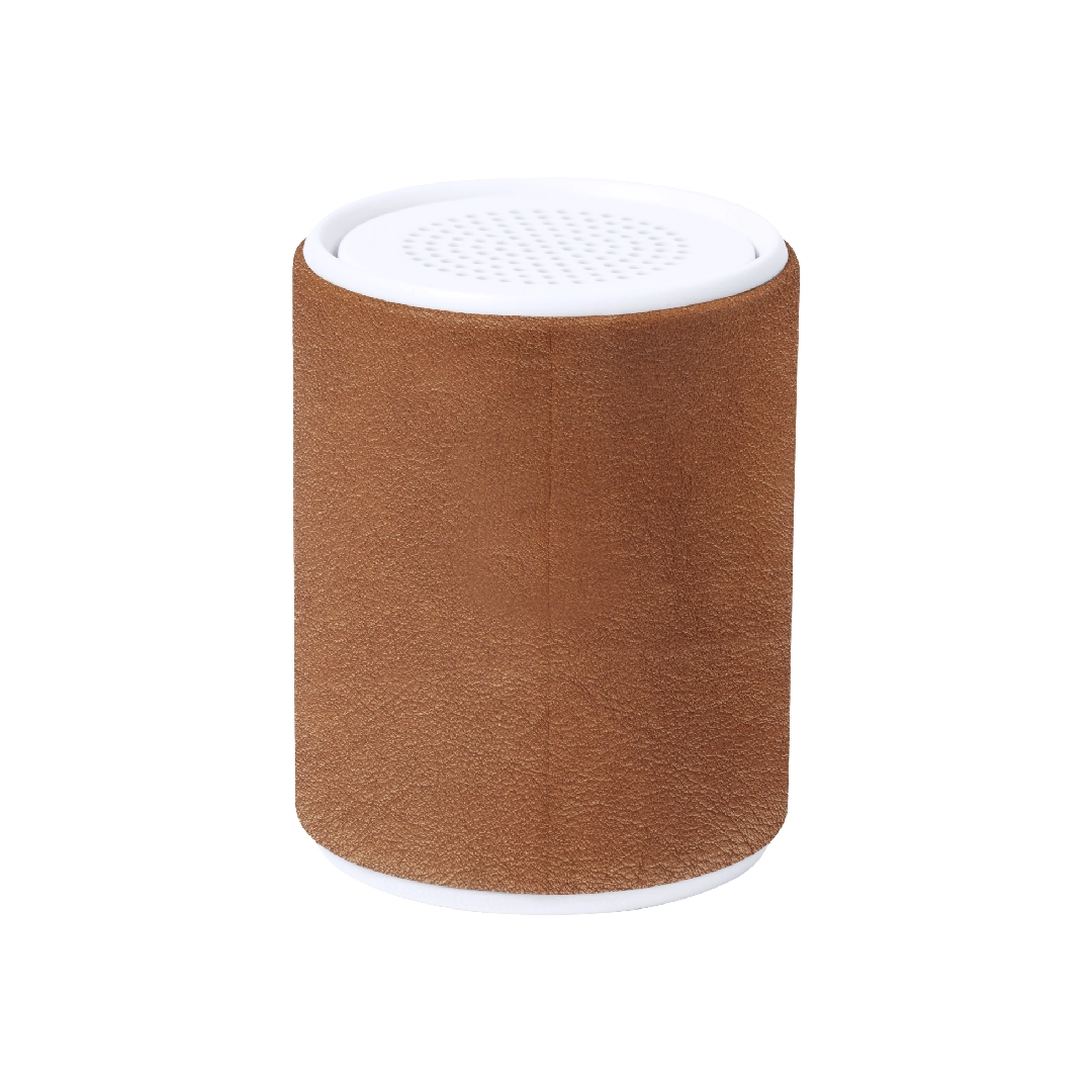 Immagine Cassa Sotep RCS