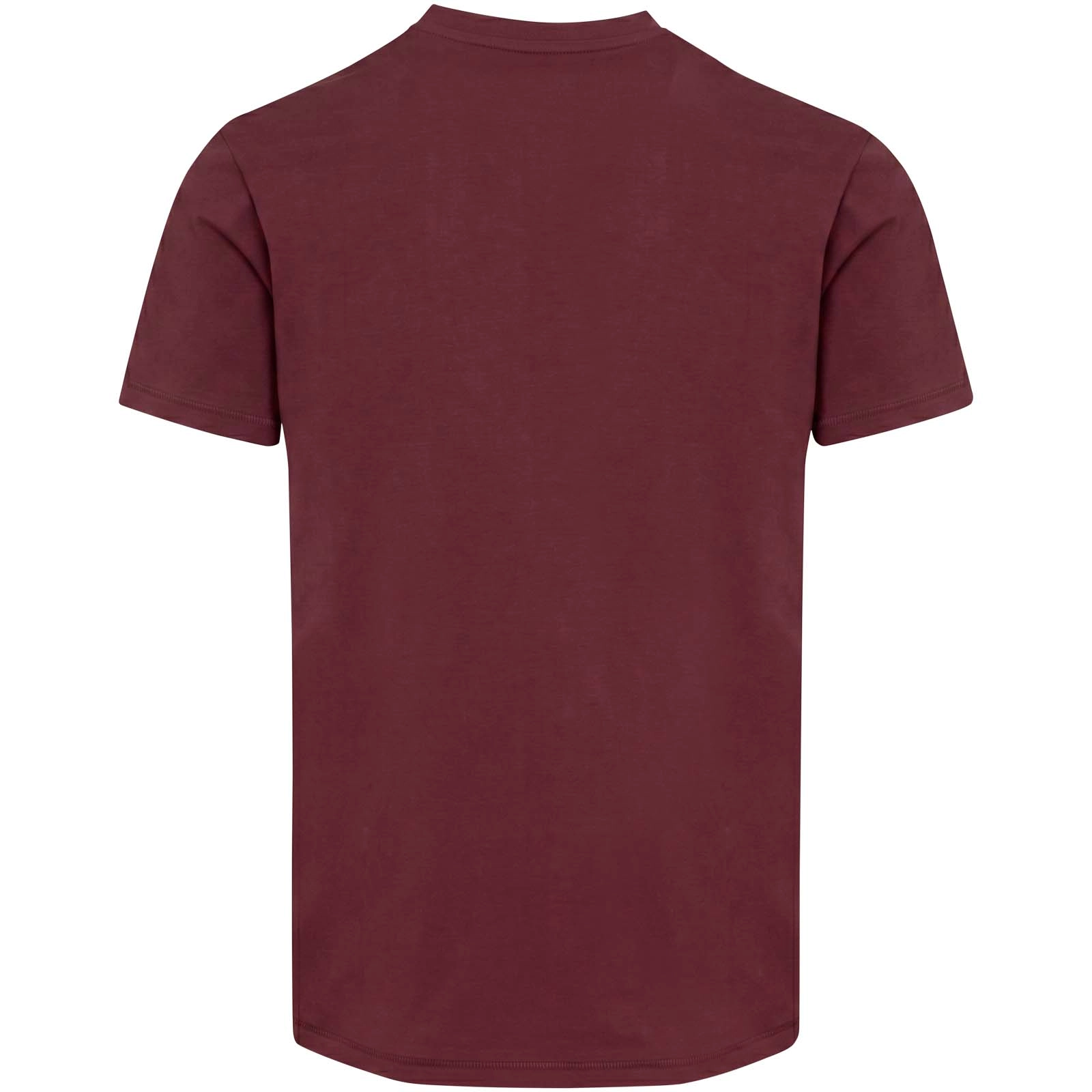 Immagine T-shirt a maniche corte unisex con scollo a V in cotone biologico certificato OCS da 200 g/m² Balfour