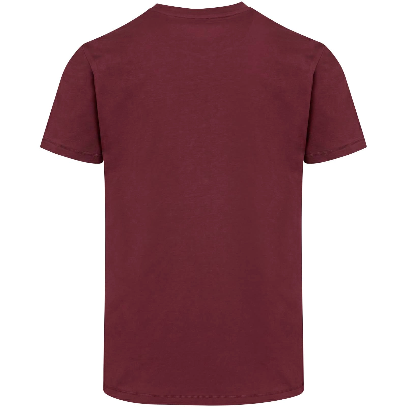 Immagine T-shirt a maniche corte unisex in tessuto biologico certificato OCS da 200 g/m² Balfour