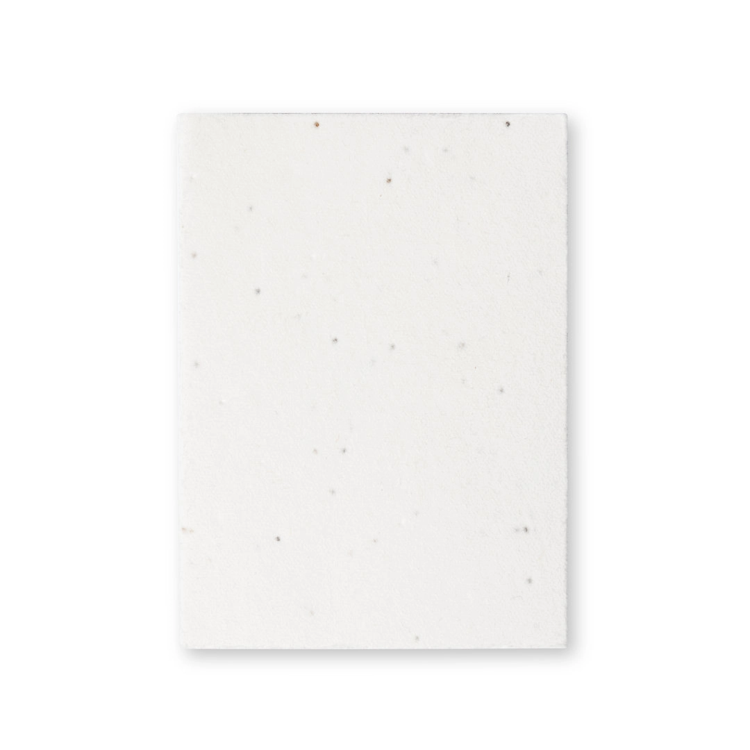 Immagine Bloc-Notes con Semi Zomek