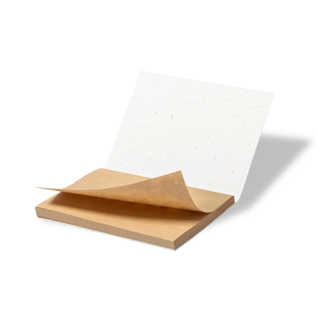 Immagine Bloc-Notes con Semi Zomek