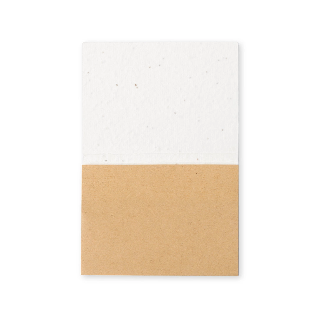 Immagine Bloc-Notes con Semi Zomek