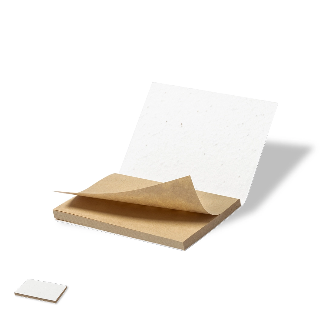 Immagine Bloc-Notes con Semi Zomek