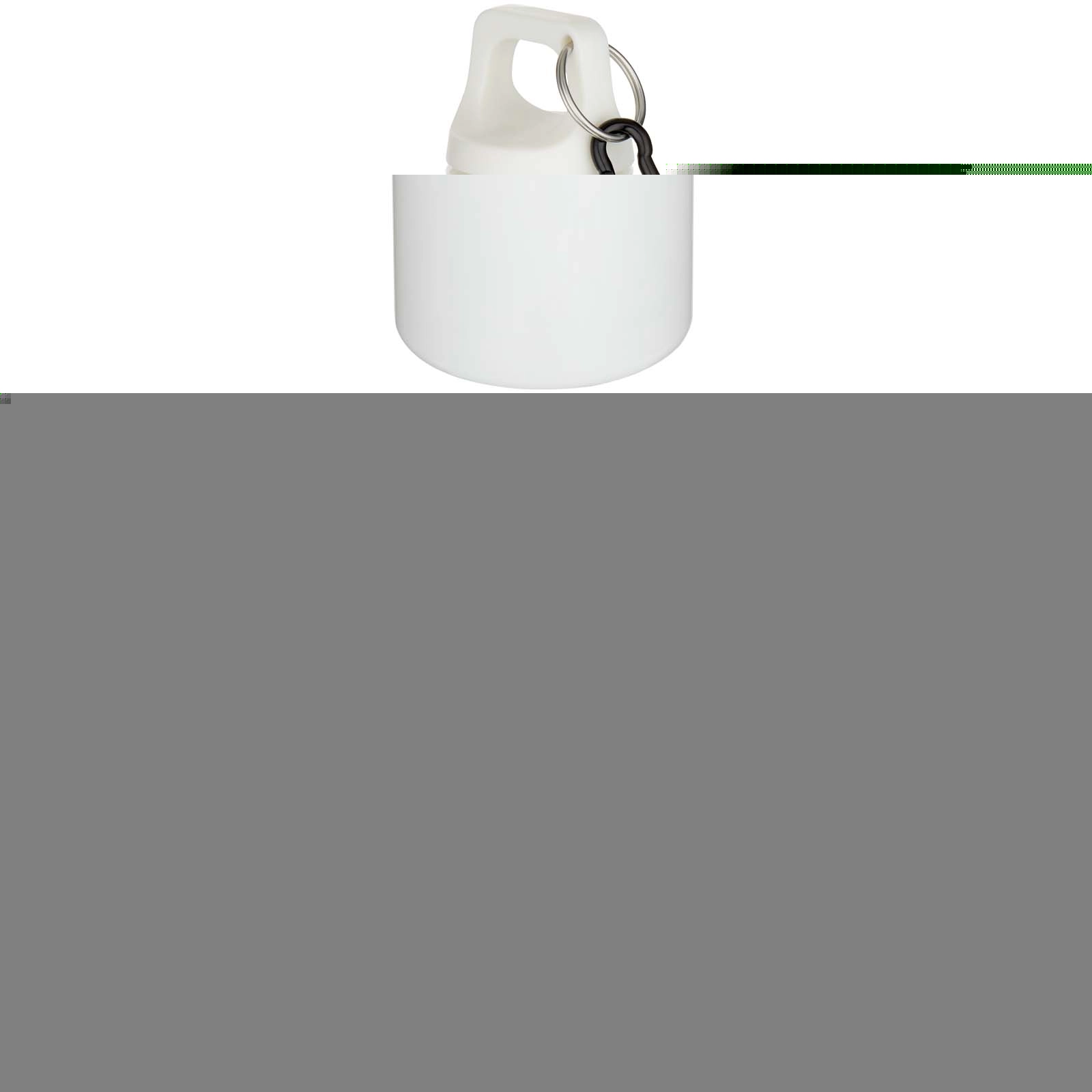 Immagine Borraccia in plastica riciclata RCS in tinta unita con moschettone Oregon da 750 ml
