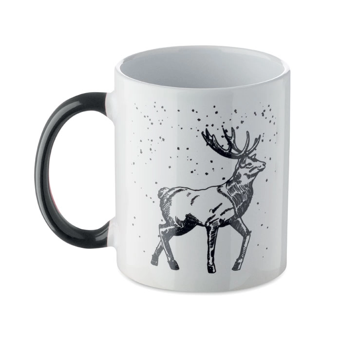 Immagine FESTIMUG