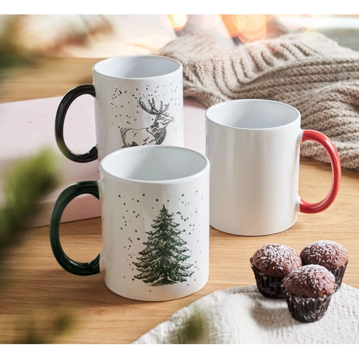 Immagine FESTIMUG