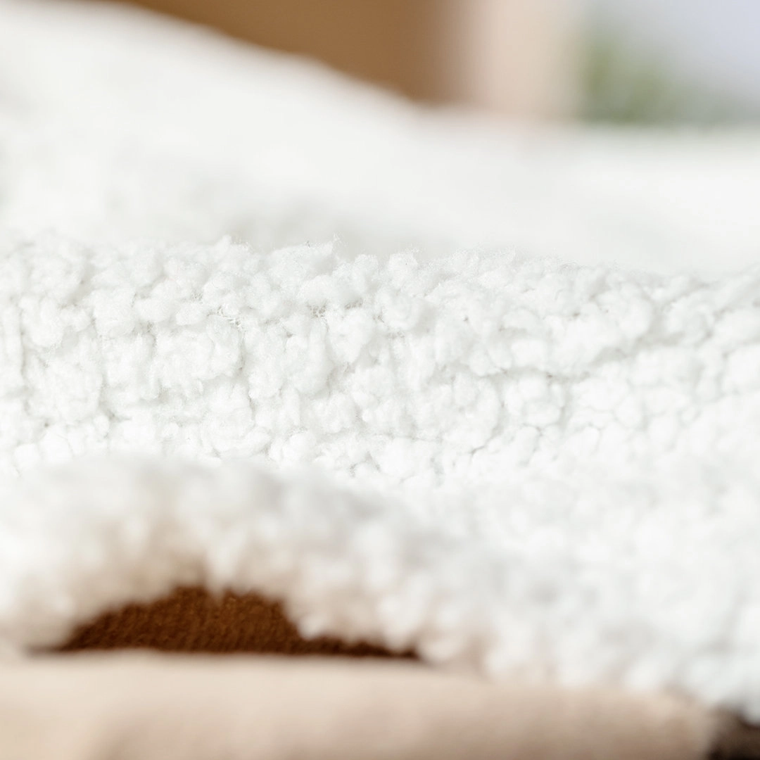 Immagine Coperta Haltebes