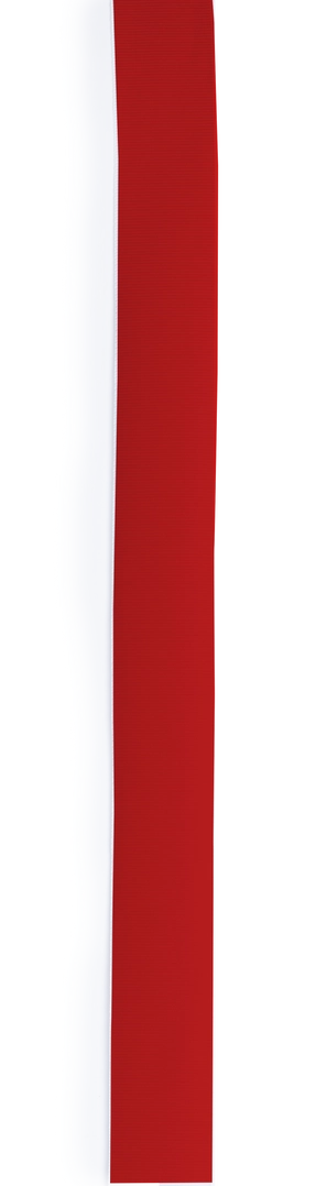 Immagine Nastro per Cappello Hicoband