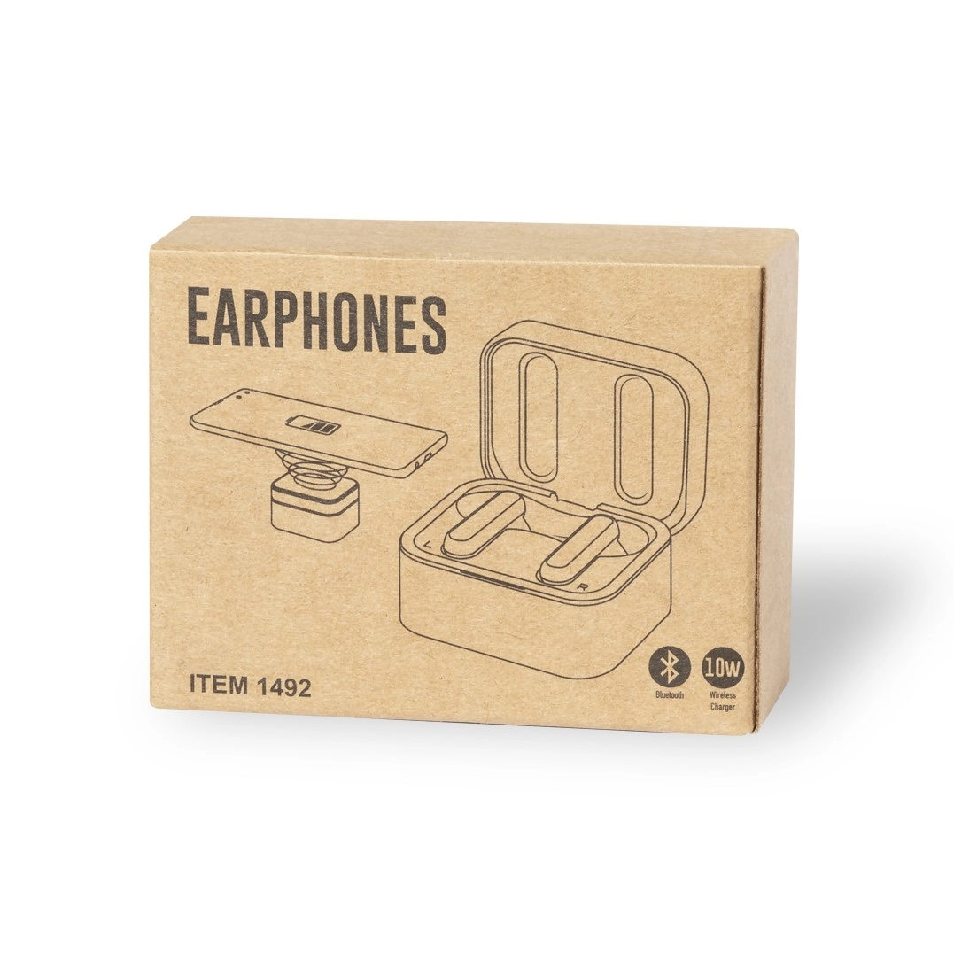 Immagine Auricolari Caricatore Billins