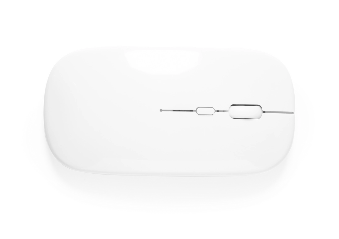 Immagine Mouse Chestir RCS