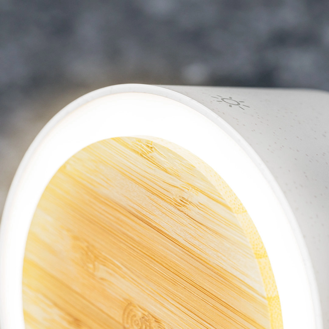 Immagine Lampada Multifunzione Sadow