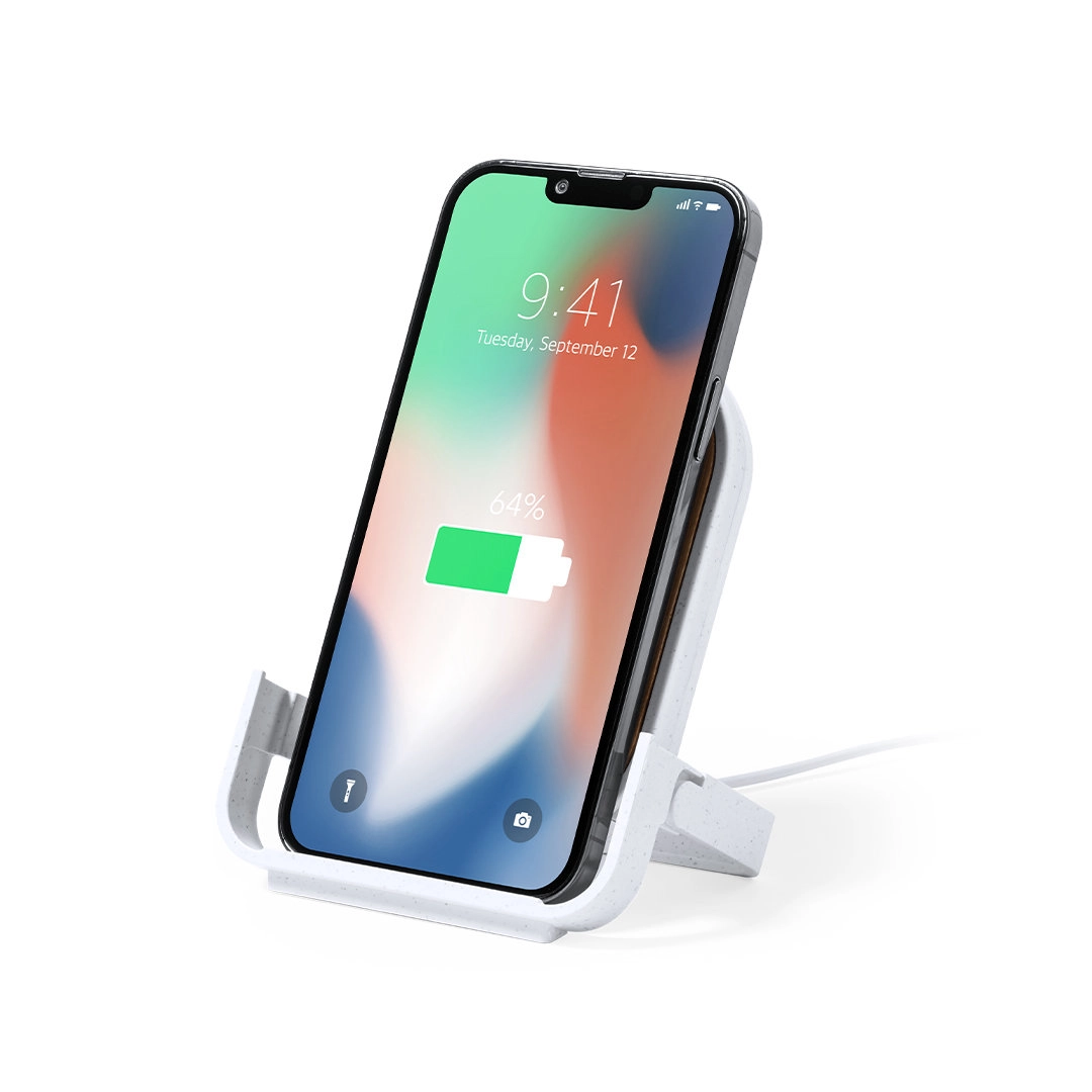 Immagine Caricatore Buisson