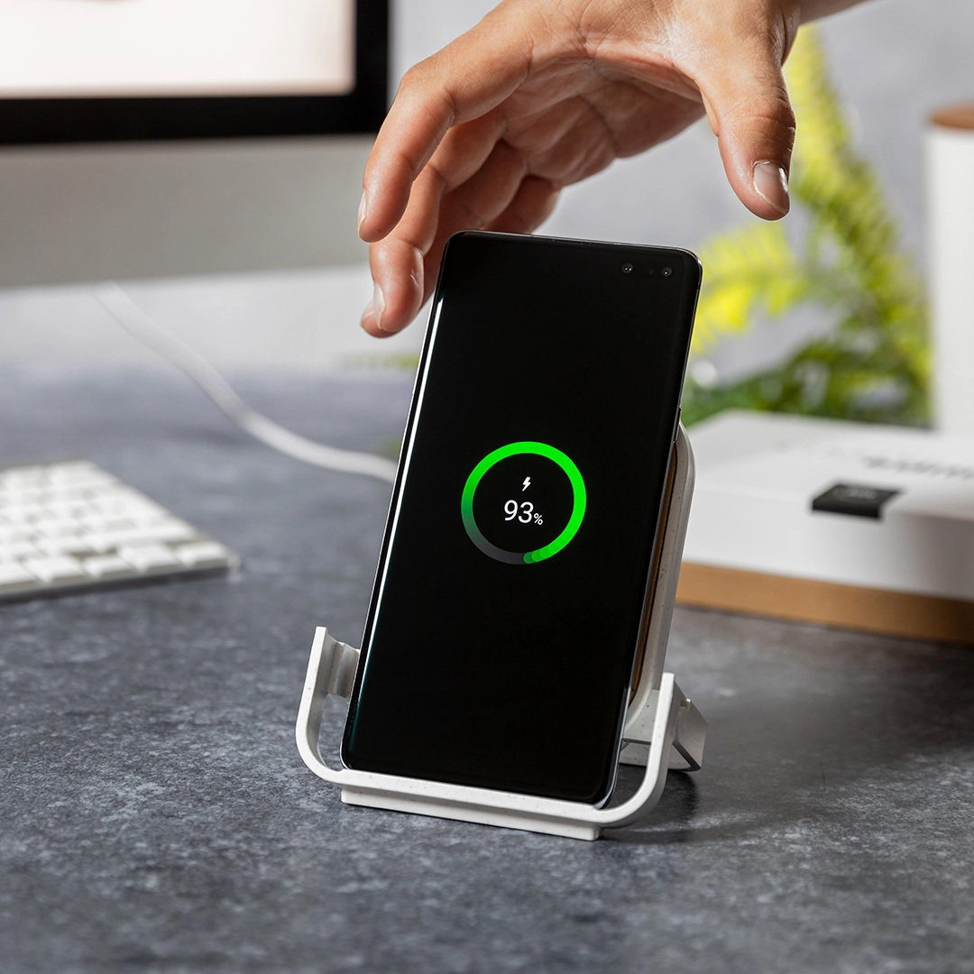 Immagine Caricatore Buisson