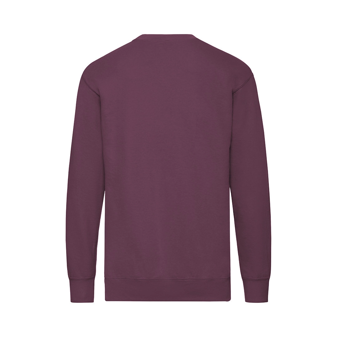 Immagine Felpa Adulto Lightweight Set-In S