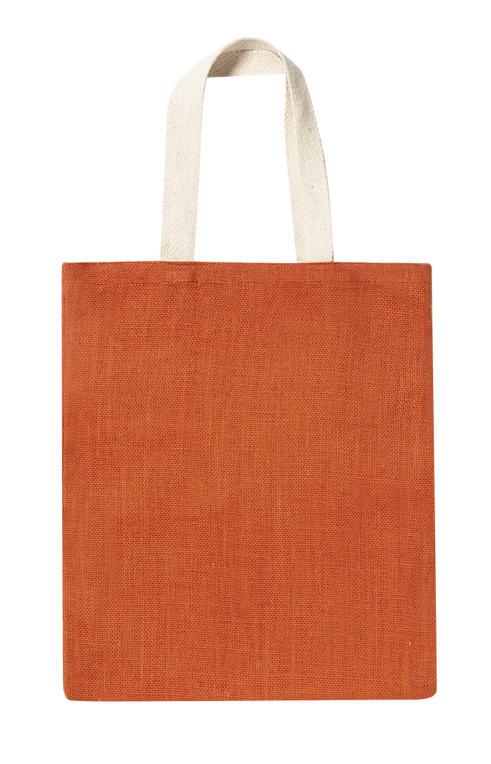 Immagine Borsa Brios