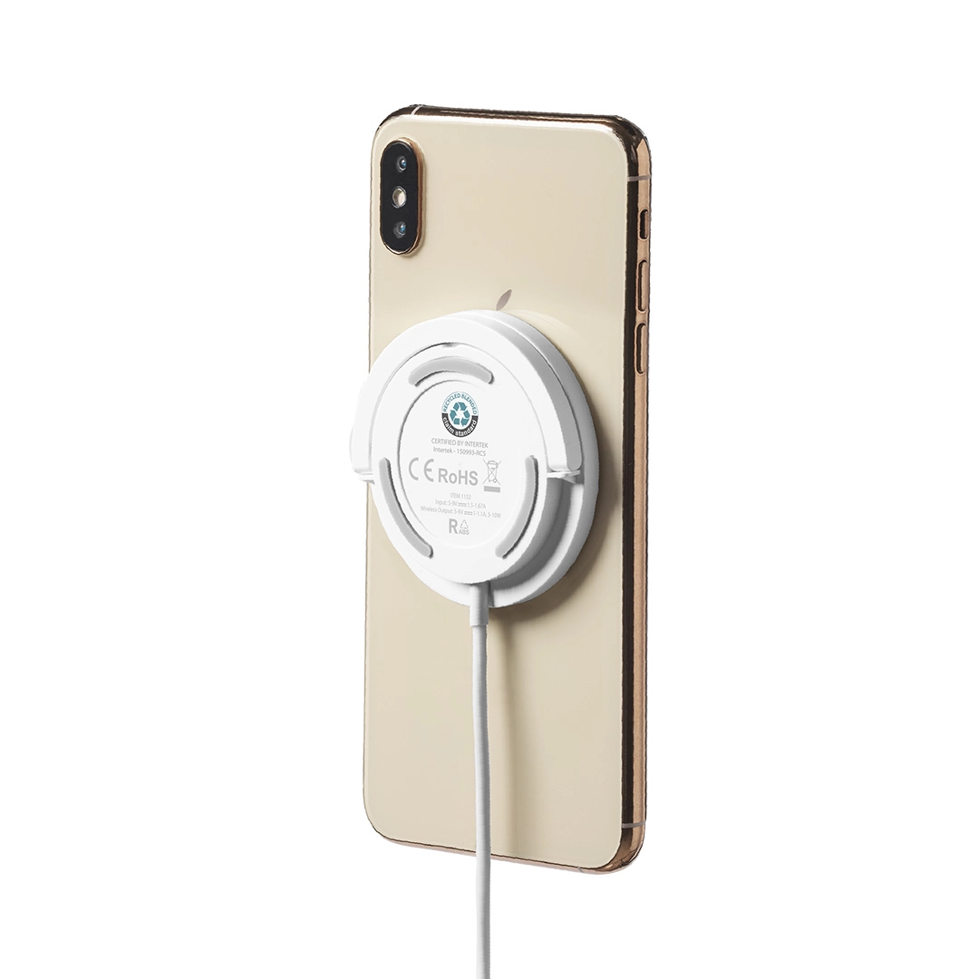 Immagine Caricatore Dixlem RCS