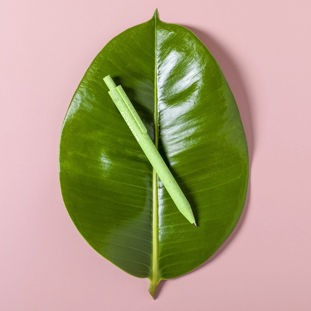 Immagine Penna a Sfera Harry