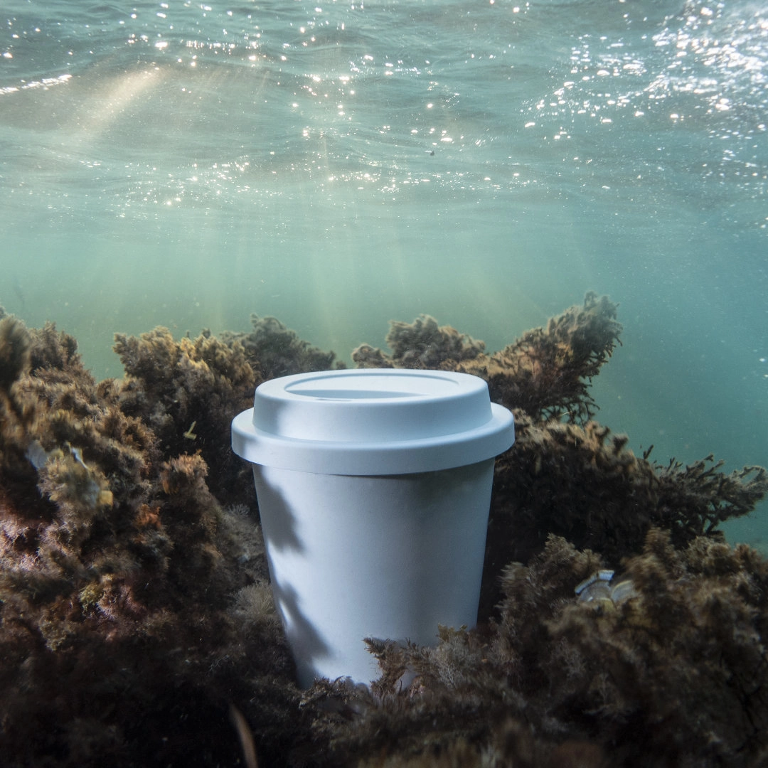 Immagine Bicchiere Petel