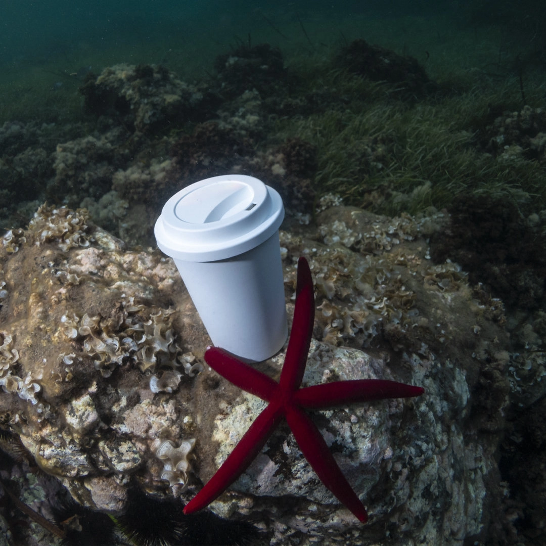 Immagine Bicchiere Petel