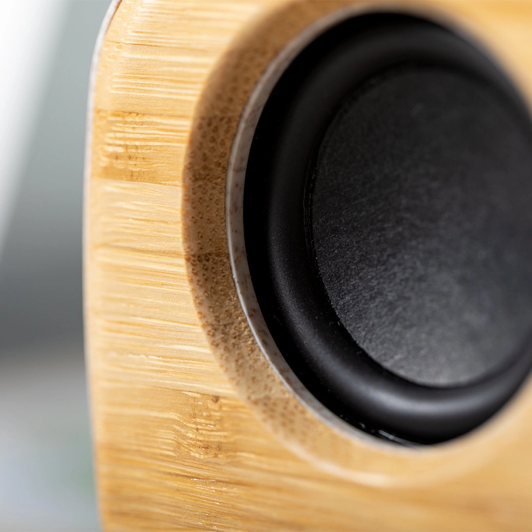 Immagine Cassa Kepir