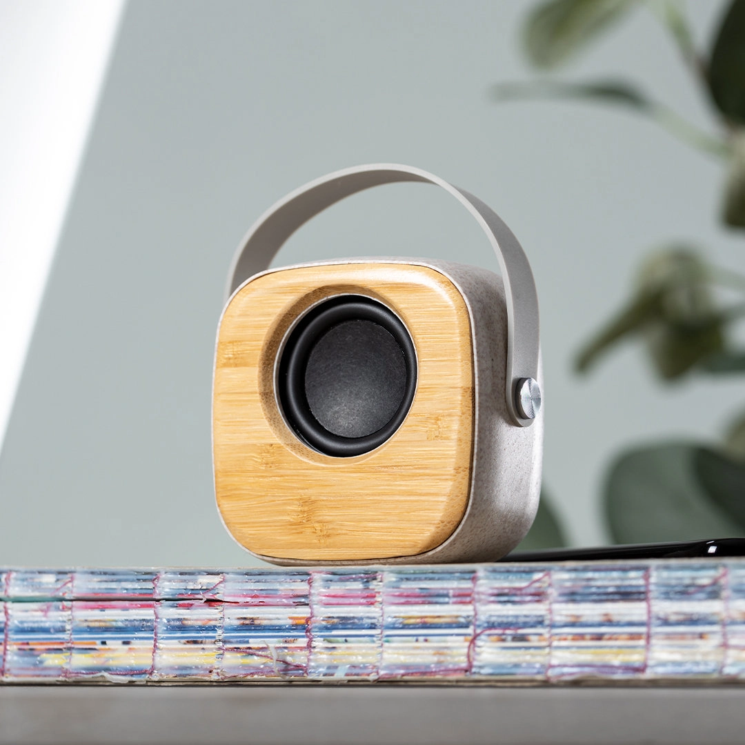 Immagine Cassa Kepir