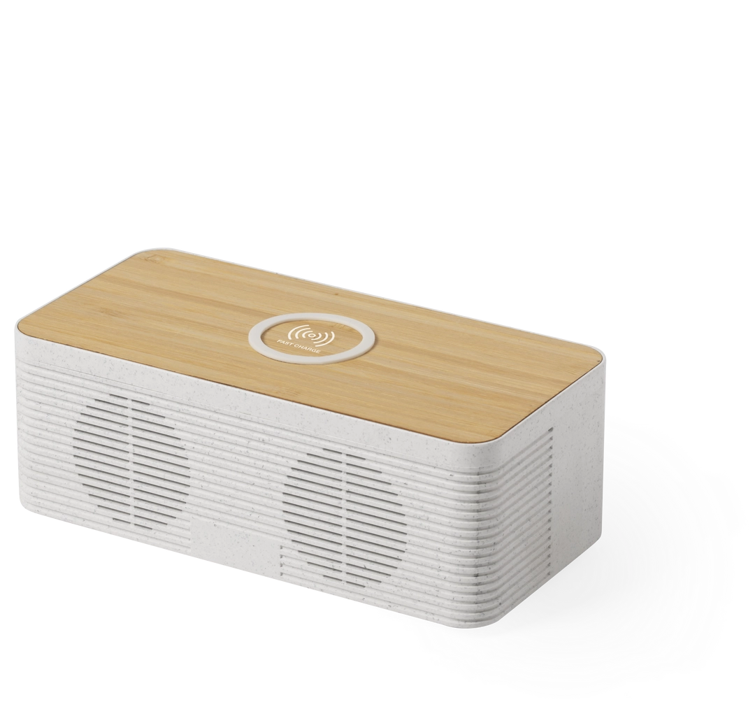 Immagine Cassa Caricatore Trecam