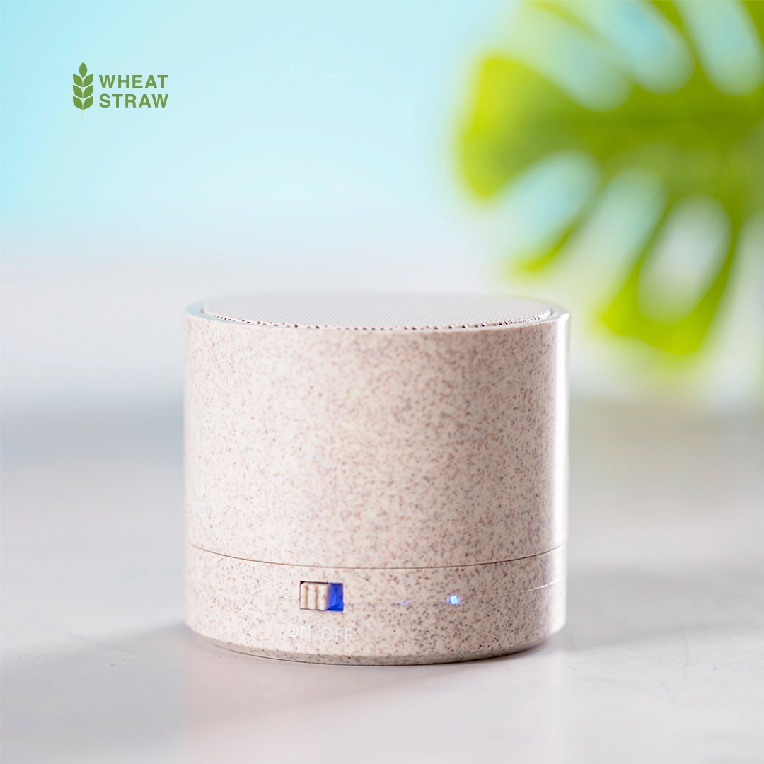 Immagine Cassa Cayren