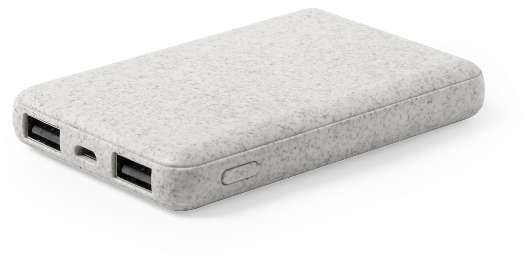 Immagine Power Bank Shiden