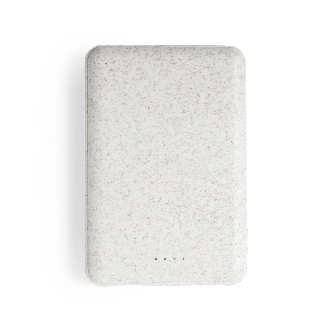 Immagine Power Bank Shiden