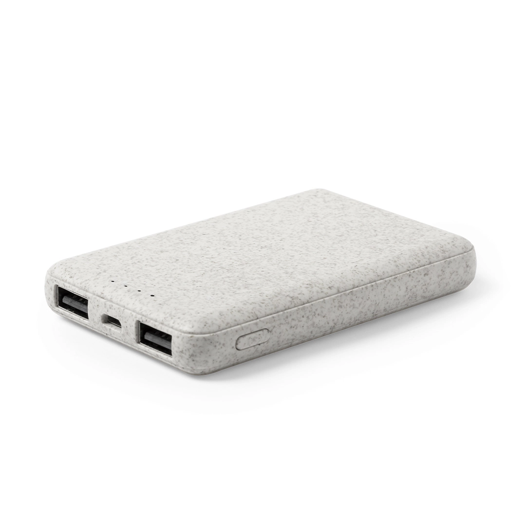 Immagine Power Bank Shiden