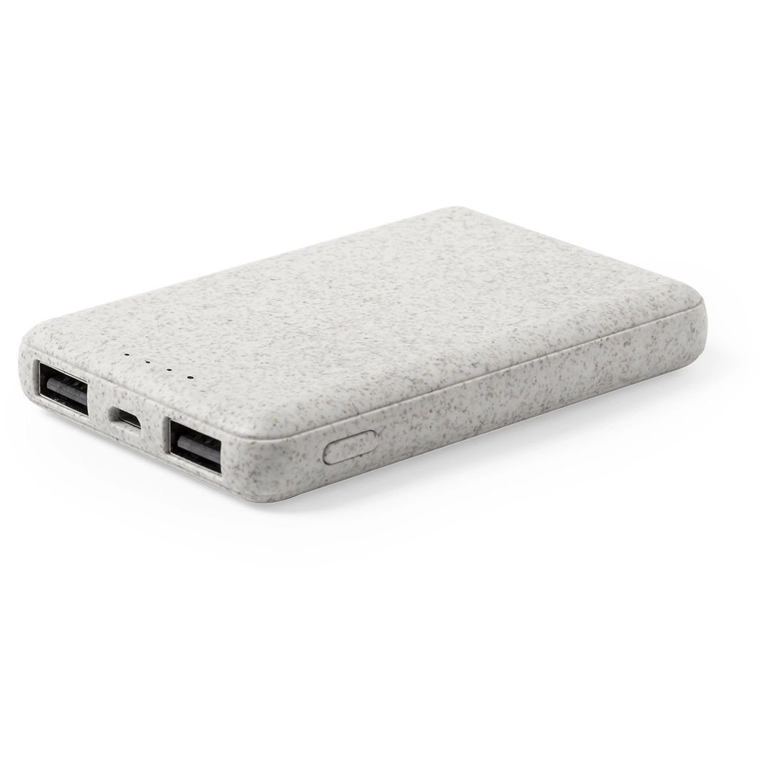 Immagine Power Bank Shiden