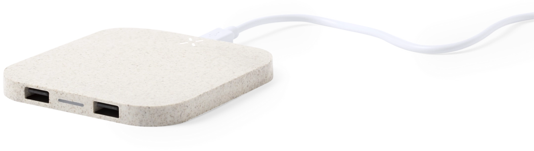 Immagine Caricatore Riens