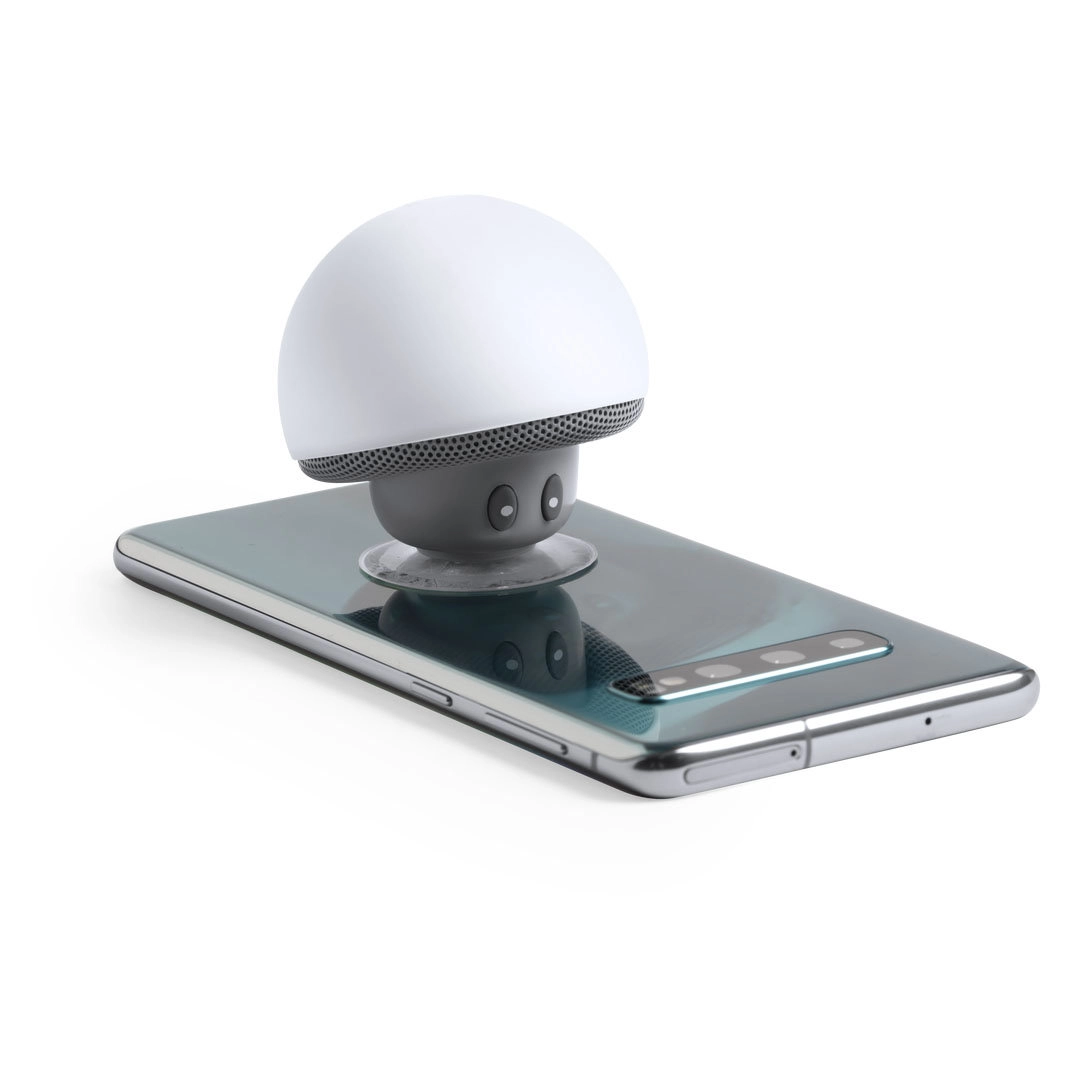 Immagine Cassa Wanap