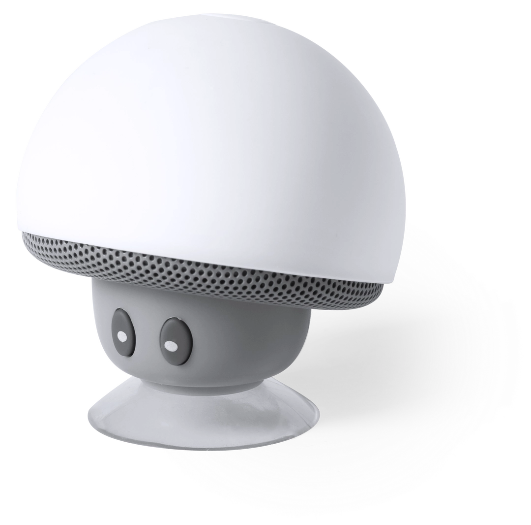 Immagine Cassa Wanap