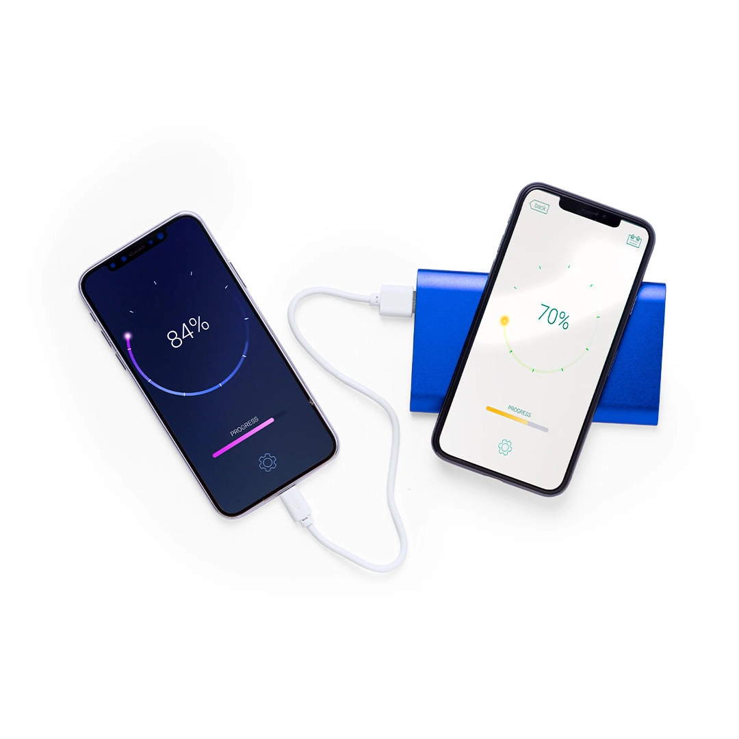 Immagine Power Bank Tikur