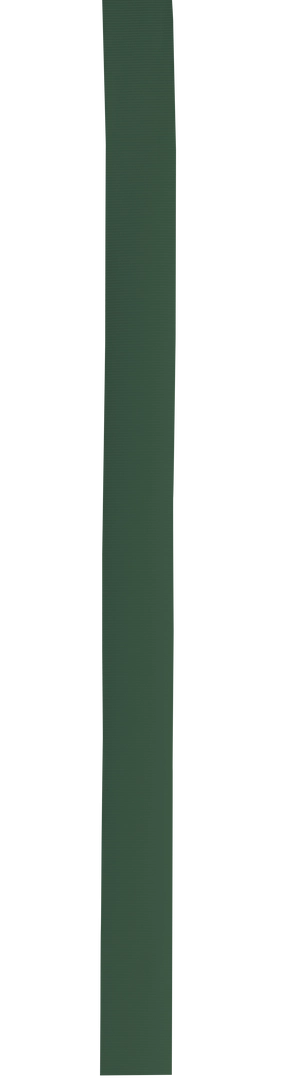 Immagine Nastro per Cappello Polyesterband