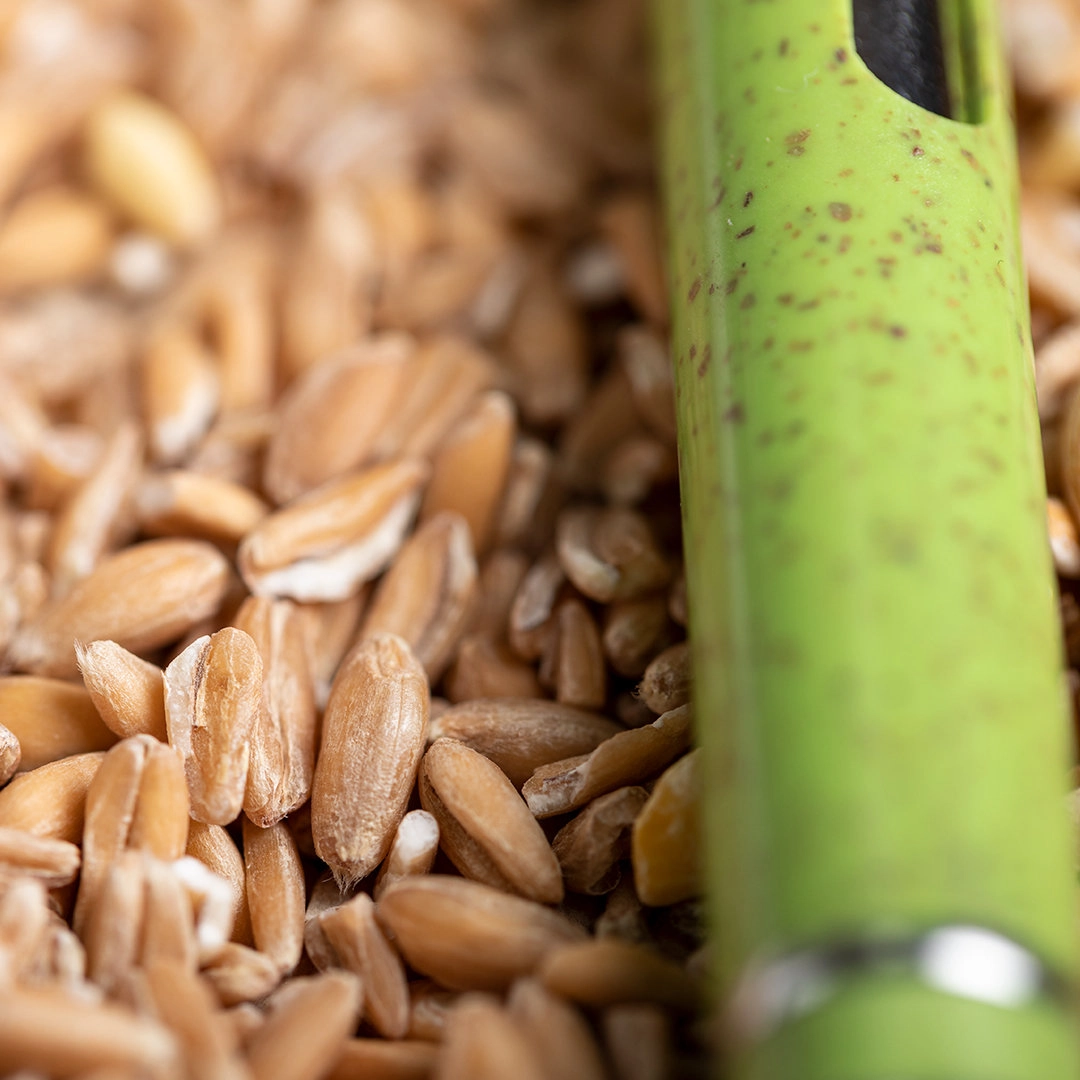 Immagine Penna a Sfera Prodox