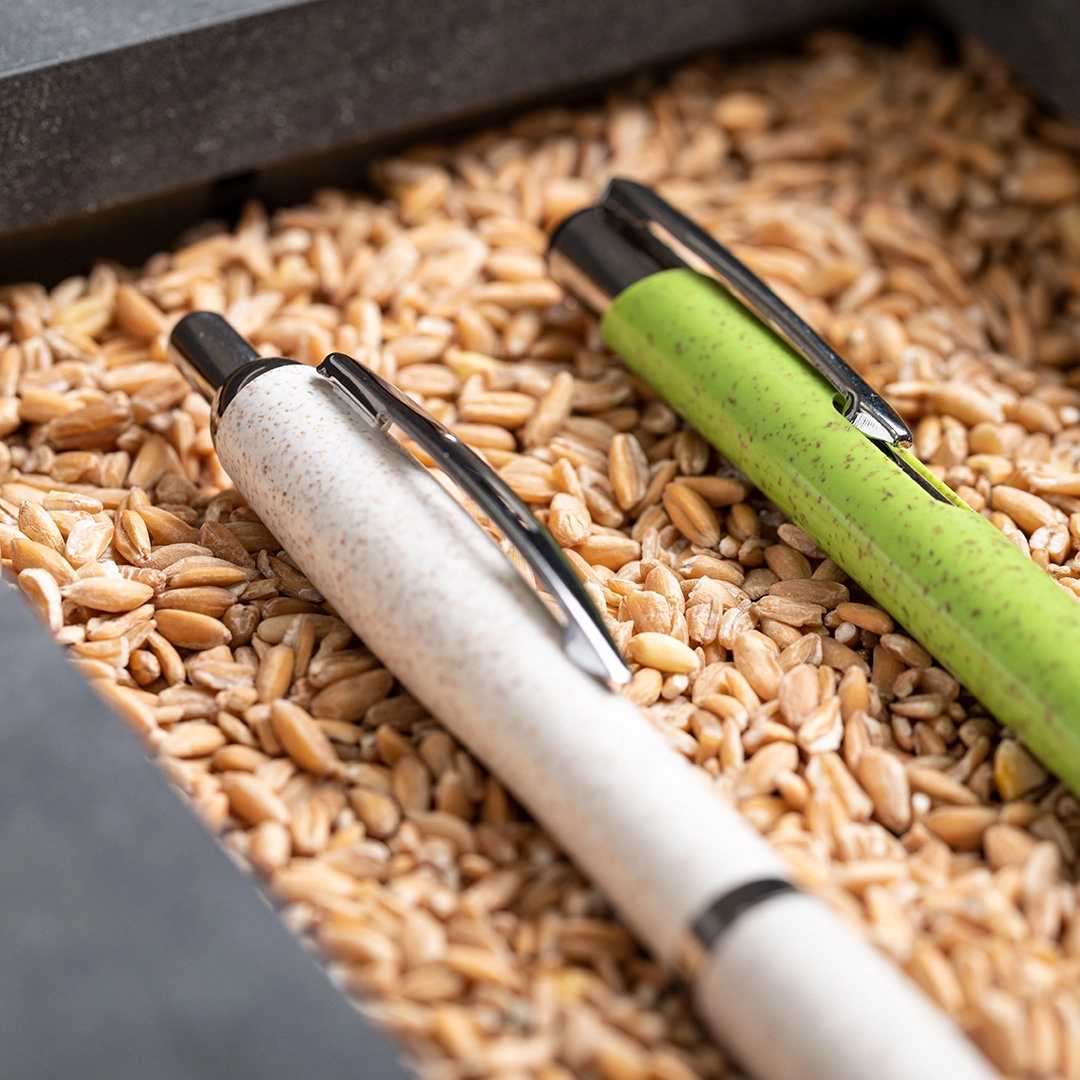 Immagine Penna a Sfera Prodox