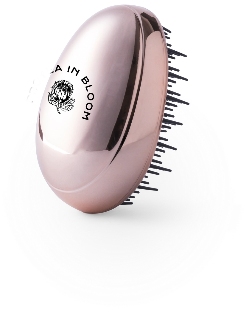 Immagine Spazzola Tramux